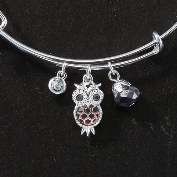 Alex and ani owl on sale set